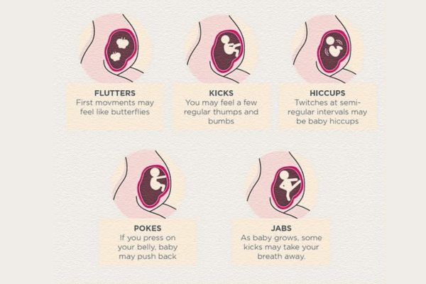Gynecologist Tests